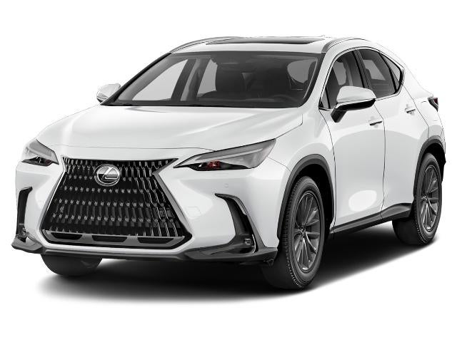 2022 Lexus NX + Luxury